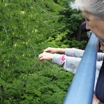 photo of G3 camp participants